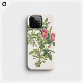 2-89_Mary-Vaux-Walcott_phone