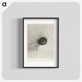 2-89_Odilon-Redon_blk