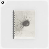 2-89_Odilon-Redon_memo