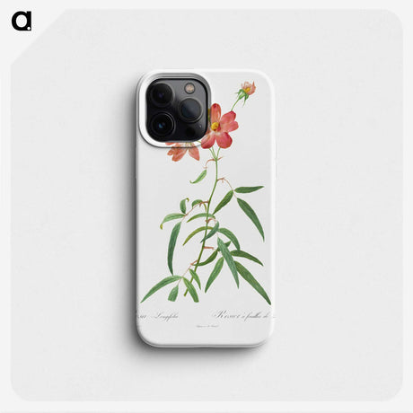 2-89_Pierre-Joseph-Redoute_phone