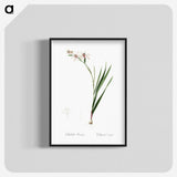 2-89_The-Lilies_blk-crop