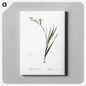 2-89_The-Lilies_canvas