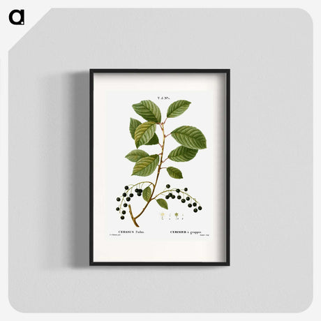 2-89_Treatise-on-Trees-and-Shrubs_blk