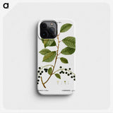 2-89_Treatise-on-Trees-and-Shrubs_phone