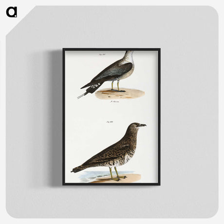 2-89_Zoology-of-New-York_blk-crop