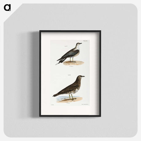 2-89_Zoology-of-New-York_blk