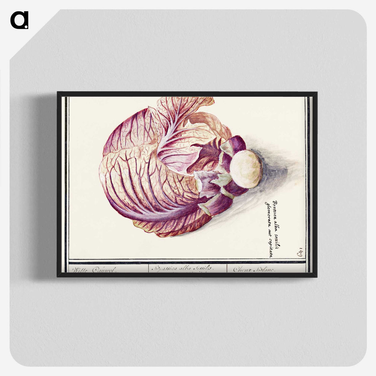 2-8_Anselmus-Boetius-de-Boodt_blk-crop