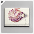 2-8_Anselmus-Boetius-de-Boodt_canvas