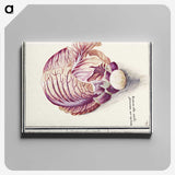 2-8_Anselmus-Boetius-de-Boodt_canvas