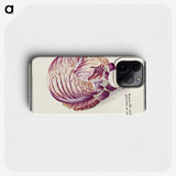 2-8_Anselmus-Boetius-de-Boodt_phone