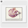 2-8_Anselmus-Boetius-de-Boodt_picture
