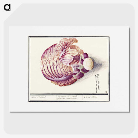 2-8_Anselmus-Boetius-de-Boodt_picture