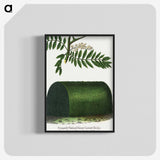2-8_Botanical-Specimen-Plates_blk-crop