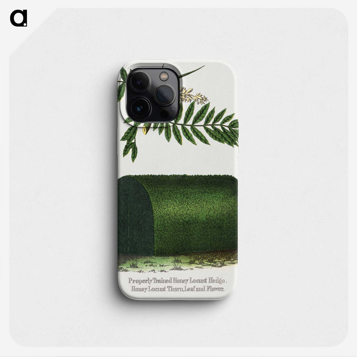 2-8_Botanical-Specimen-Plates_phone