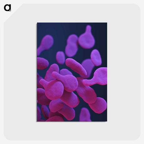 2-8_COVID-19_postcard