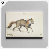 2-8_Charles-Hamilton-Smith_canvas