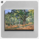 The Bodmer Oak, Fontainebleau Forest - Claude Monet Canvas.