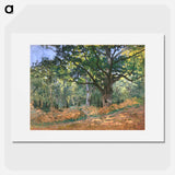 The Bodmer Oak, Fontainebleau Forest - Claude Monet Poster.
