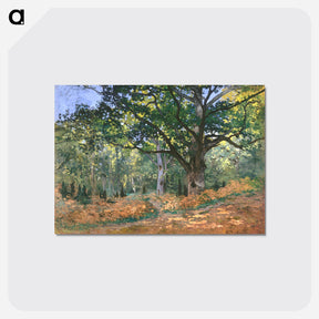 アートポストカード-The Bodmer Oak, Fontainebleau Forest - クロード モネ Postcard.