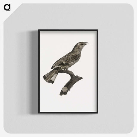 2-8_Des-Oiseaux-de-Paradis_blk-crop