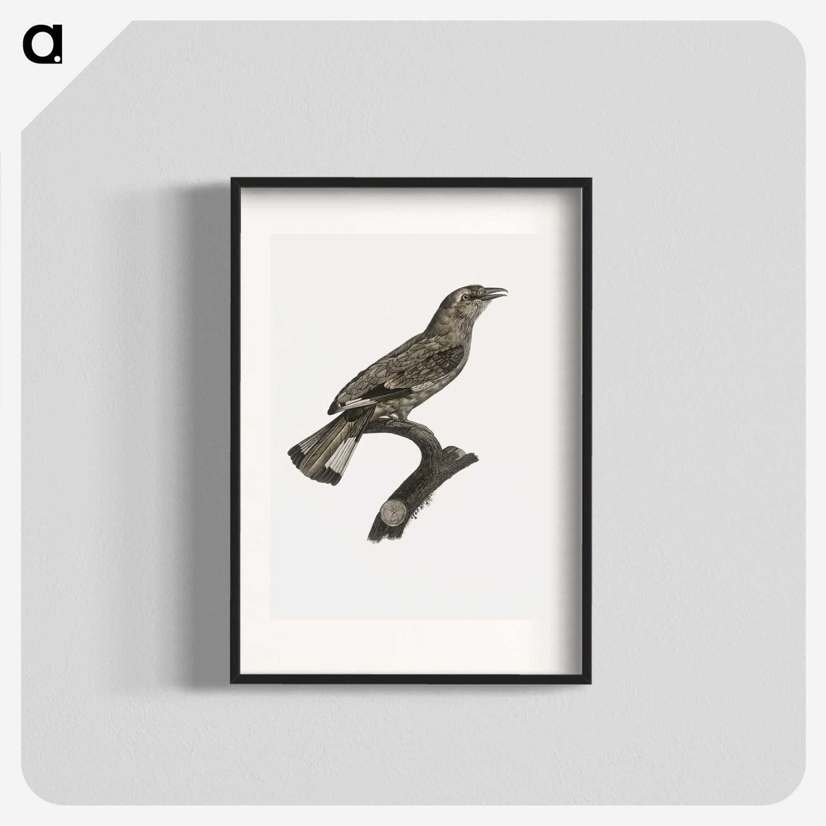 2-8_Des-Oiseaux-de-Paradis_blk