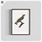 2-8_Des-Oiseaux-de-Paradis_blk
