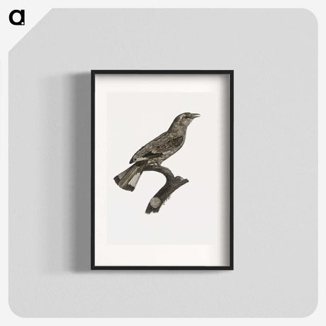 2-8_Des-Oiseaux-de-Paradis_blk
