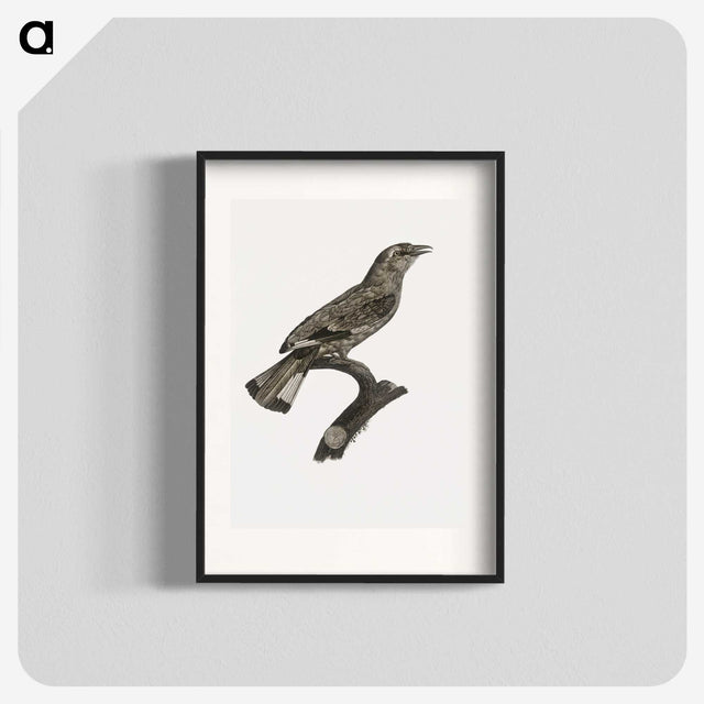 2-8_Des-Oiseaux-de-Paradis_blk