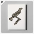 2-8_Des-Oiseaux-de-Paradis_canvas