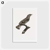 2-8_Des-Oiseaux-de-Paradis_hagaki
