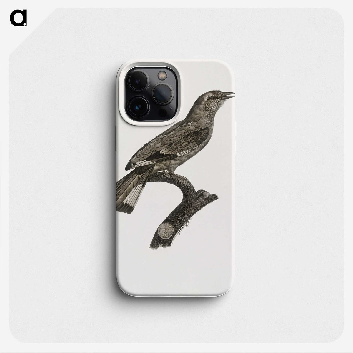 2-8_Des-Oiseaux-de-Paradis_phone