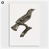 2-8_Des-Oiseaux-de-Paradis_picture-crop