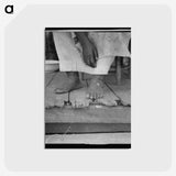 2-8_Dorothea-Lange_postcard