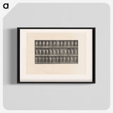 2-8_Eadweard-Muybridge_blk-crop