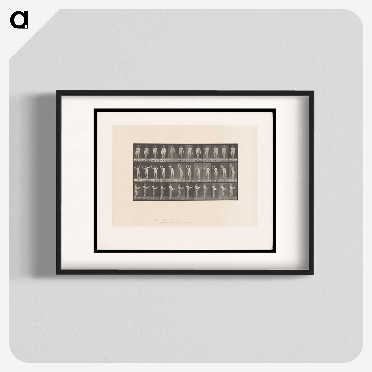 2-8_Eadweard-Muybridge_blk