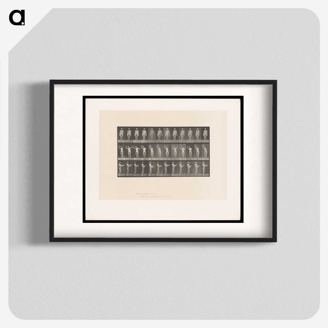2-8_Eadweard-Muybridge_blk