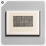 2-8_Eadweard-Muybridge_canvas