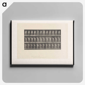 2-8_Eadweard-Muybridge_canvas