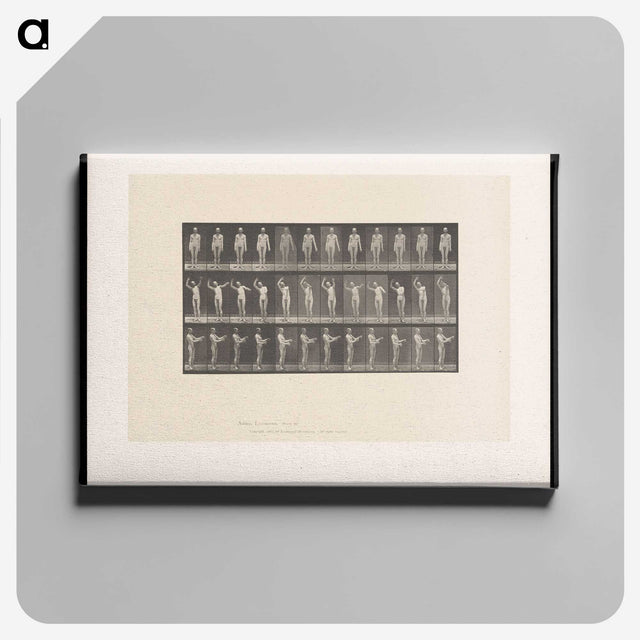 2-8_Eadweard-Muybridge_canvas
