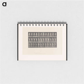 2-8_Eadweard-Muybridge_memo