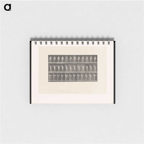 2-8_Eadweard-Muybridge_memo