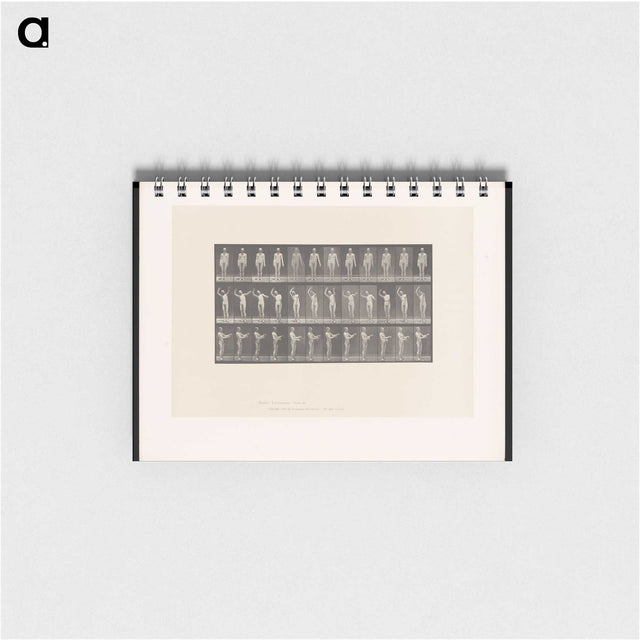 2-8_Eadweard-Muybridge_memo