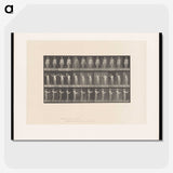 2-8_Eadweard-Muybridge_picture-crop