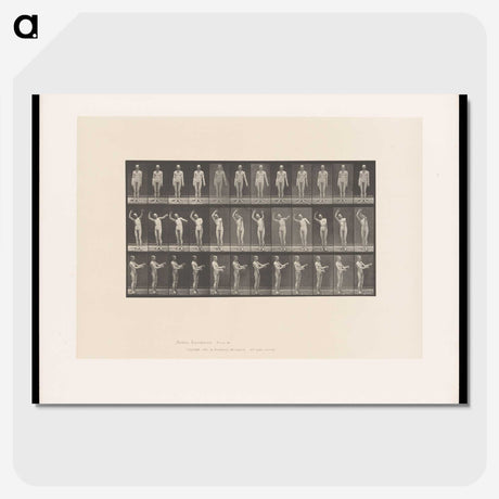 2-8_Eadweard-Muybridge_picture-crop
