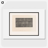 2-8_Eadweard-Muybridge_picture