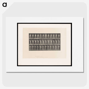 2-8_Eadweard-Muybridge_picture