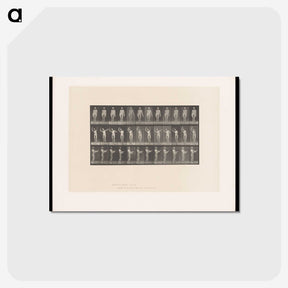 2-8_Eadweard-Muybridge_postcard