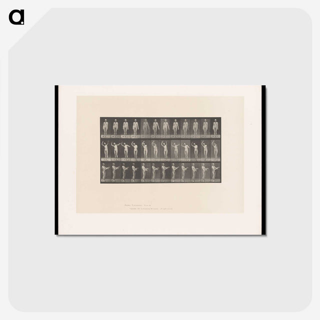2-8_Eadweard-Muybridge_postcard