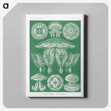 2-8_Ernst-Haeckel_canvas