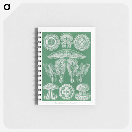 2-8_Ernst-Haeckel_memo